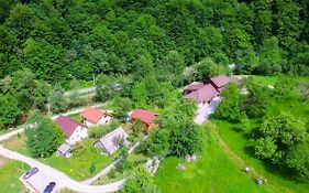 Pensiunea Lupul Dacic